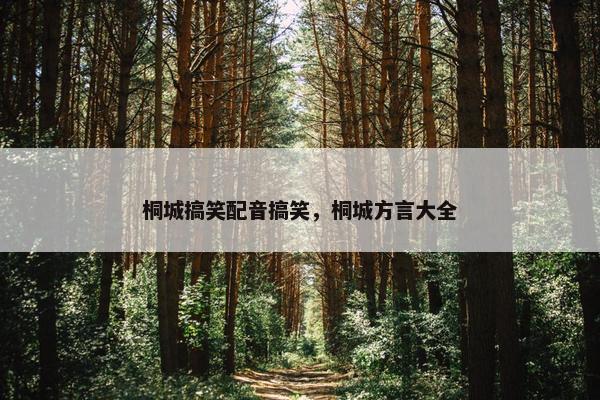 桐城搞笑配音搞笑，桐城方言大全