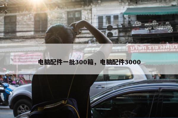 电脑配件一批300箱，电脑配件3000