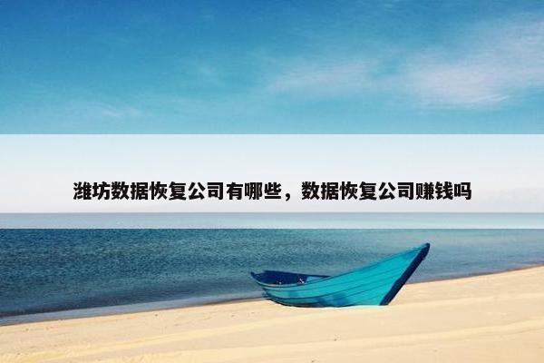 潍坊数据恢复公司有哪些，数据恢复公司赚钱吗