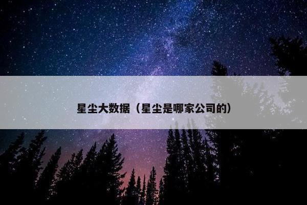 星尘大数据（星尘是哪家公司的）
