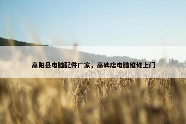 高阳县电脑配件厂家，高碑店电脑维修上门