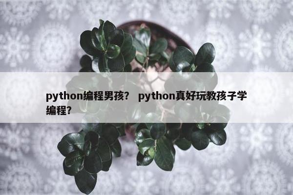 python编程男孩？ python真好玩教孩子学编程？