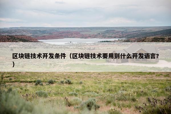 区块链技术开发条件（区块链技术要用到什么开发语言?）