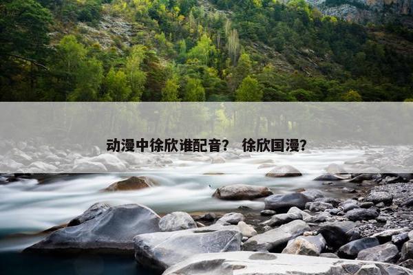 动漫中徐欣谁配音？ 徐欣国漫？