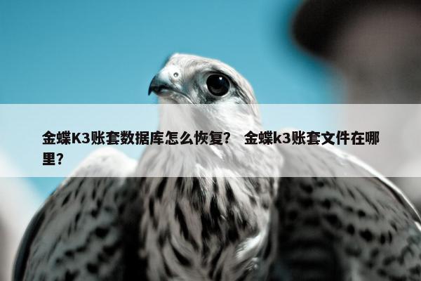 金蝶K3账套数据库怎么恢复？ 金蝶k3账套文件在哪里？