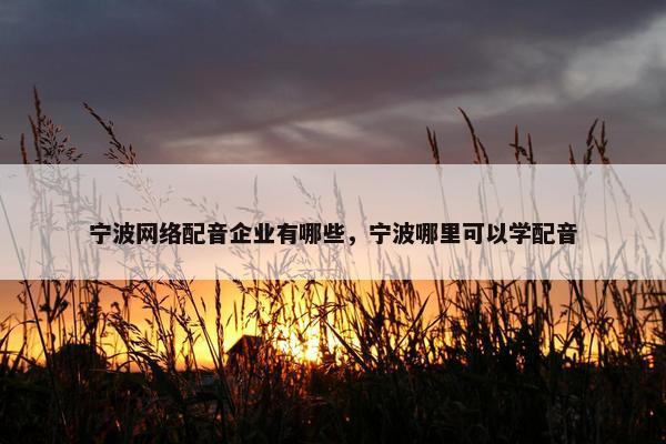 宁波网络配音企业有哪些，宁波哪里可以学配音