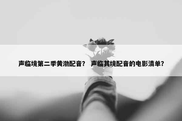 声临境第二季黄渤配音？ 声临其境配音的电影清单？