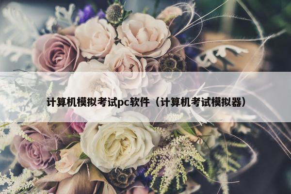 计算机模拟考试pc软件（计算机考试模拟器）