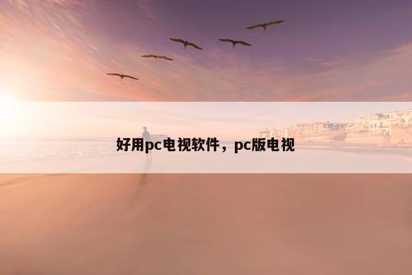 好用pc电视软件，pc版电视