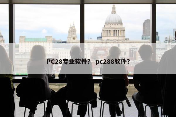 PC28专业软件？ pc288软件？