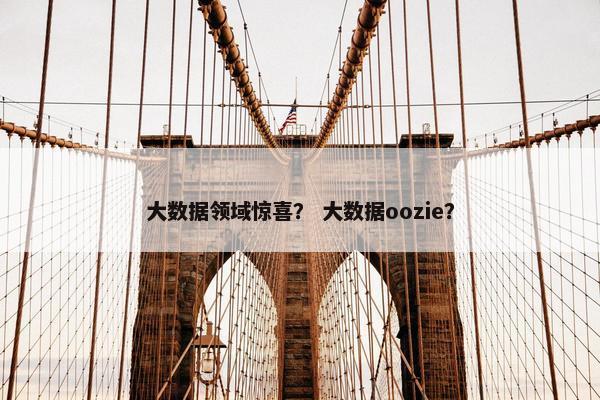 大数据领域惊喜？ 大数据oozie？