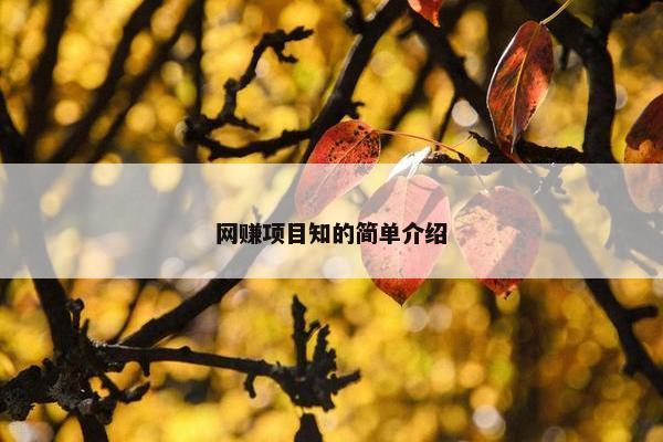 网赚项目知的简单介绍