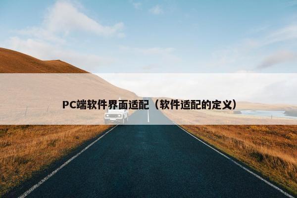 PC端软件界面适配（软件适配的定义）