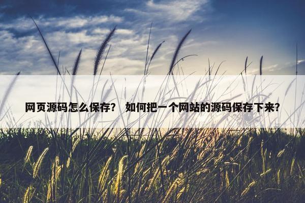 网页源码怎么保存？ 如何把一个网站的源码保存下来？