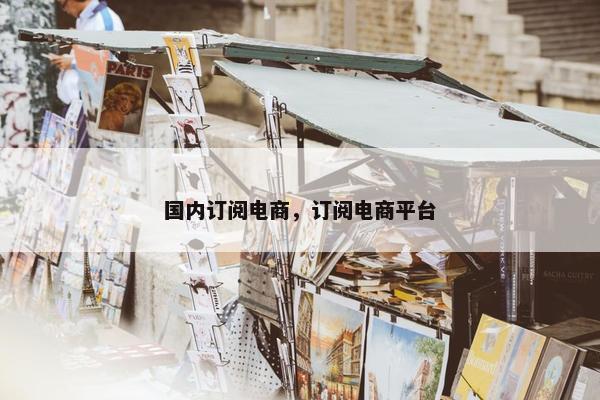 国内订阅电商，订阅电商平台