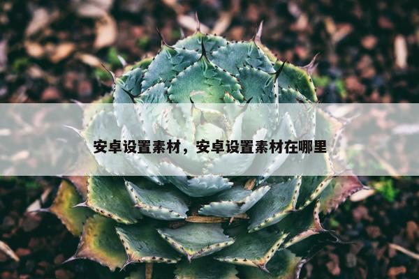 安卓设置素材，安卓设置素材在哪里