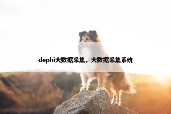 dephi大数据采集，大数据采集系统