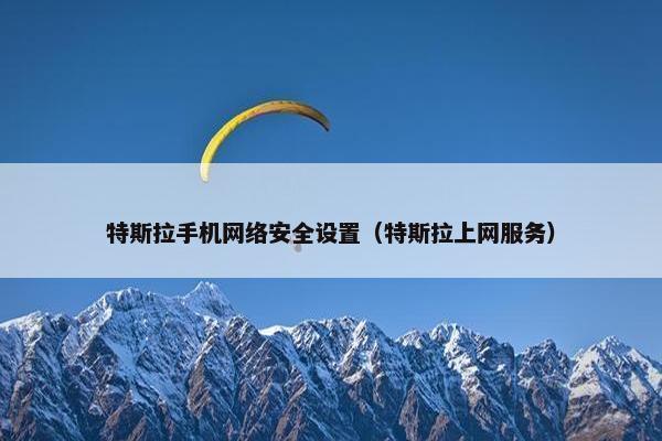 特斯拉手机网络安全设置（特斯拉上网服务）