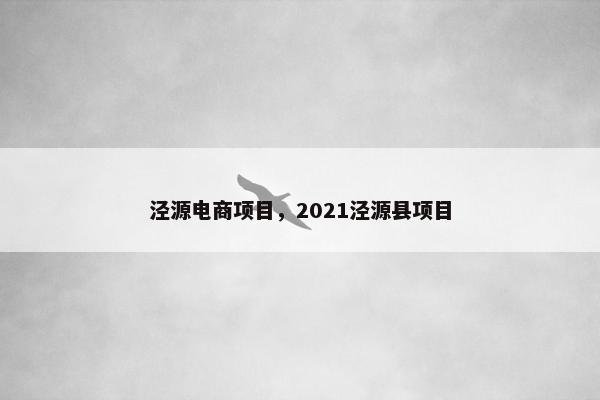 泾源电商项目，2021泾源县项目