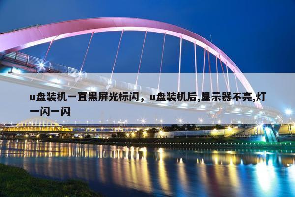 u盘装机一直黑屏光标闪，u盘装机后,显示器不亮,灯一闪一闪