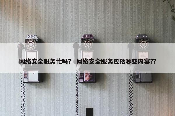 网络安全服务忙吗？ 网络安全服务包括哪些内容?？