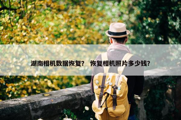 湖南相机数据恢复？ 恢复相机照片多少钱？