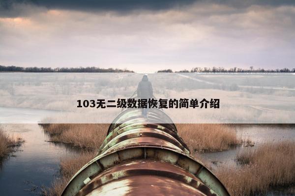 103无二级数据恢复的简单介绍