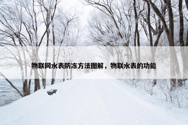 物联网水表防冻方法图解，物联水表的功能