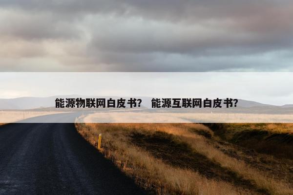 能源物联网白皮书？ 能源互联网白皮书？
