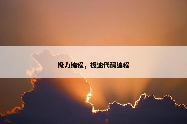 极力编程，极速代码编程