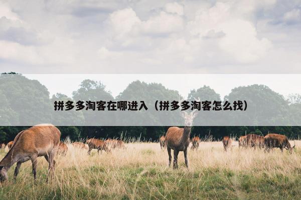 拼多多淘客在哪进入（拼多多淘客怎么找）