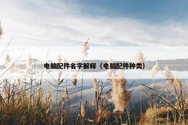 电脑配件名字解释（电脑配件种类）