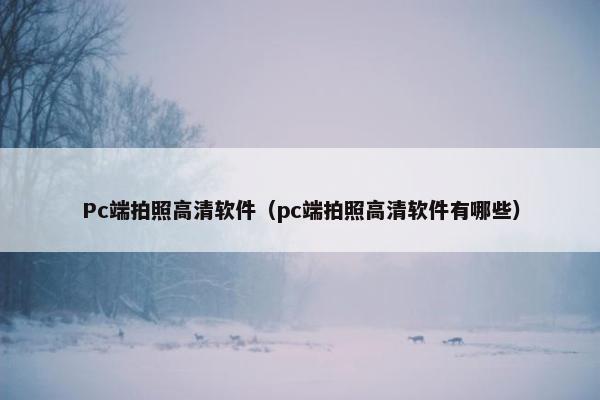 Pc端拍照高清软件（pc端拍照高清软件有哪些）
