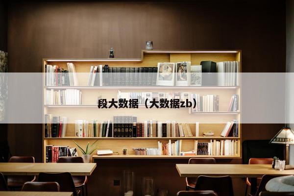 段大数据（大数据zb）
