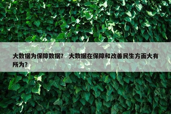 大数据为保障数据？ 大数据在保障和改善民生方面大有所为？