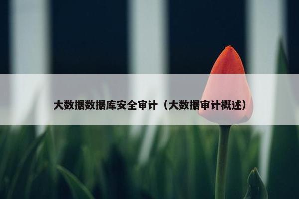 大数据数据库安全审计（大数据审计概述）