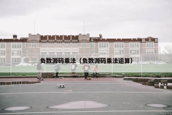 负数源码乘法（负数源码乘法运算）