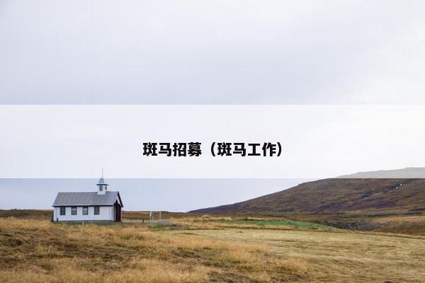 斑马招募（斑马工作）