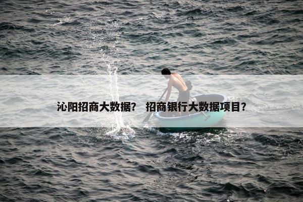 沁阳招商大数据？ 招商银行大数据项目？