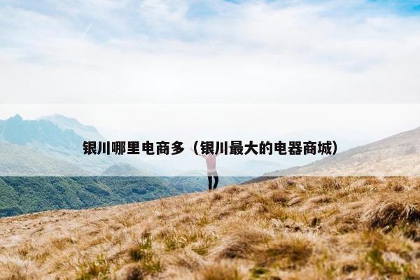 银川哪里电商多（银川最大的电器商城）