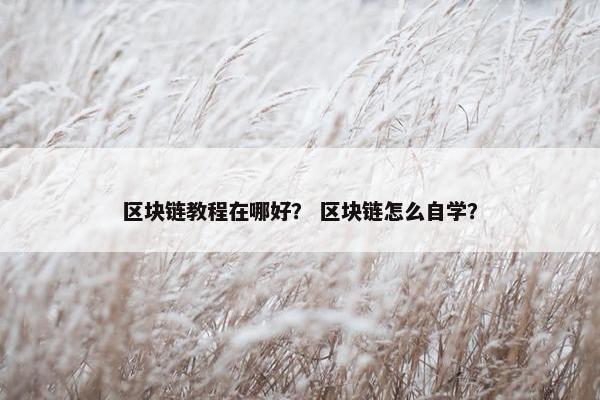 区块链教程在哪好？ 区块链怎么自学？