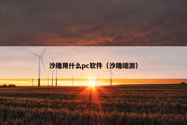 沙雕用什么pc软件（沙雕端游）