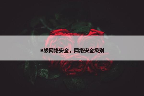 B级网络安全，网络安全级别