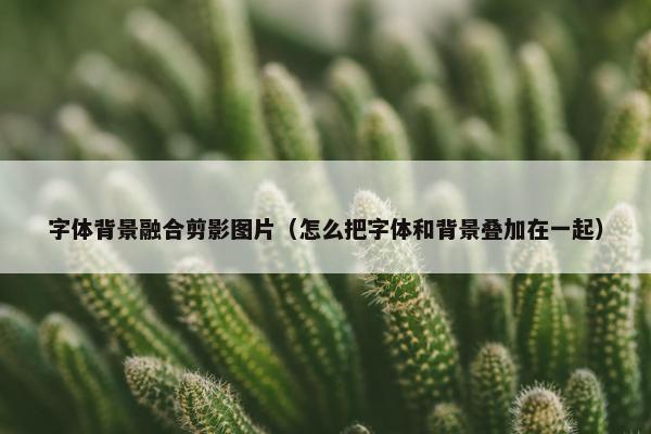 字体背景融合剪影图片（怎么把字体和背景叠加在一起）