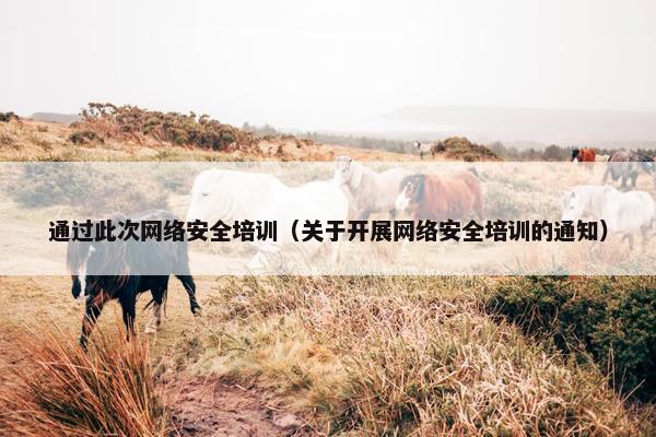 通过此次网络安全培训（关于开展网络安全培训的通知）