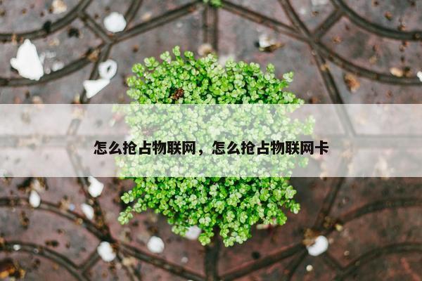 怎么抢占物联网，怎么抢占物联网卡