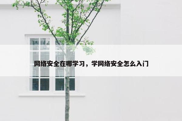 网络安全在哪学习，学网络安全怎么入门