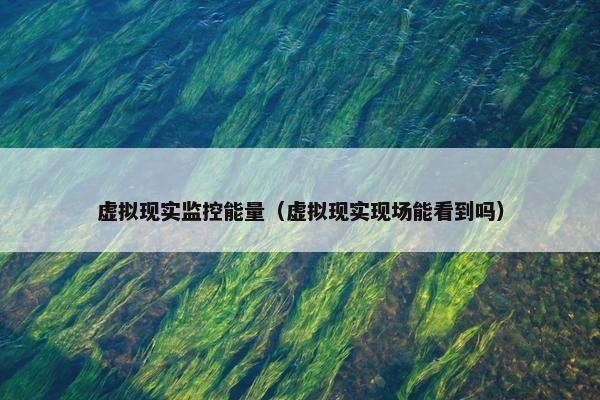 虚拟现实监控能量（虚拟现实现场能看到吗）