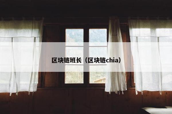 区块链班长（区块链chia）