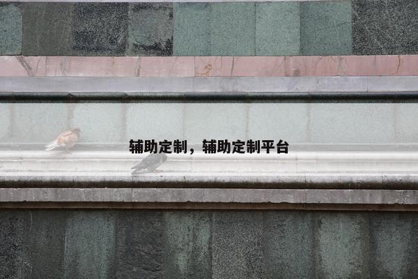 辅助定制，辅助定制平台
